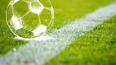 博业体育 资讯 101722 y3s