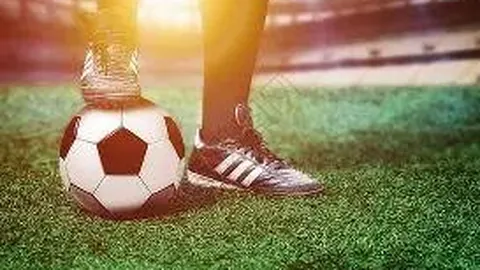 淄博外汇、海关、税务局共筑协同治理，举行签约暨党建共建仪式